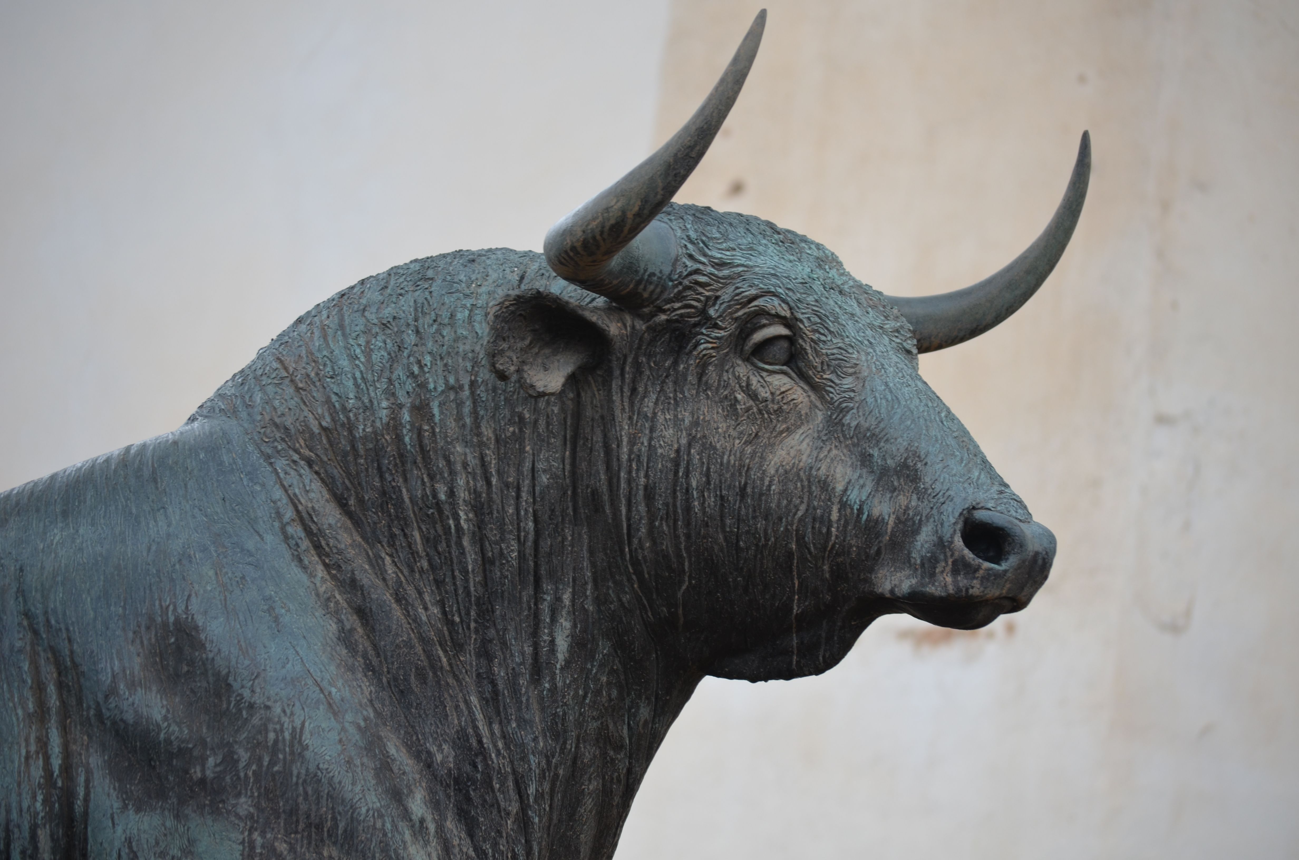IPO Application Flow — Broker ते Demat
